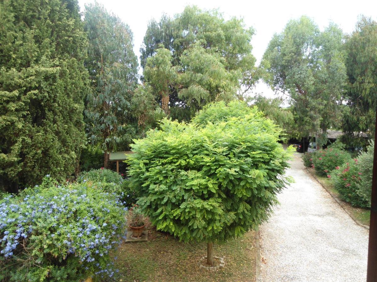 Agriturismo Le Pescine 瓦达 外观 照片