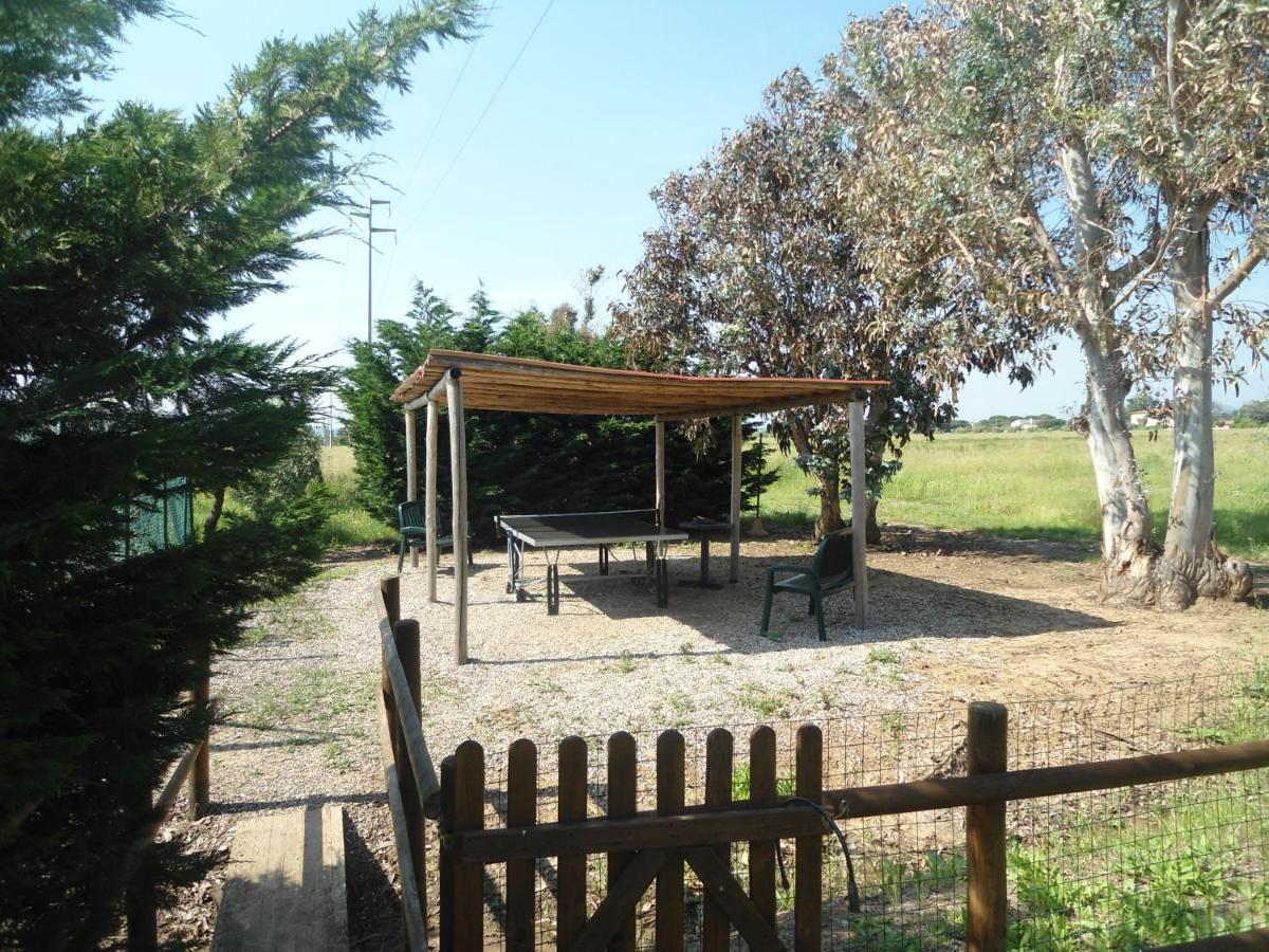 Agriturismo Le Pescine 瓦达 外观 照片